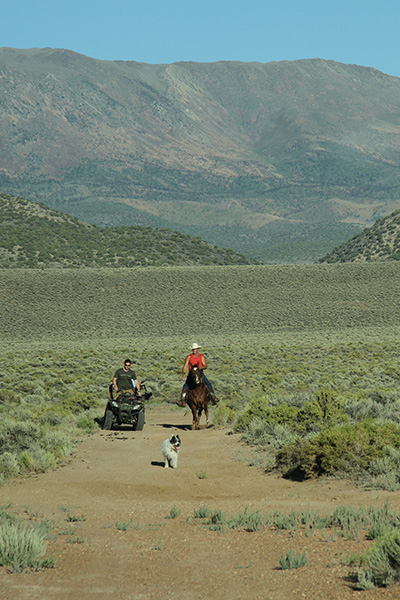Production Image